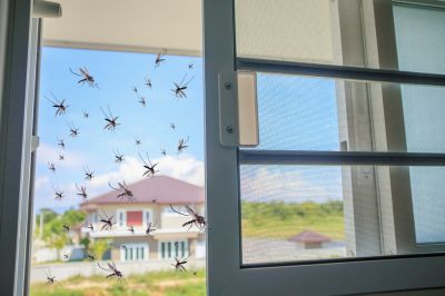 Keep Pests Out with Door Screen Repair!